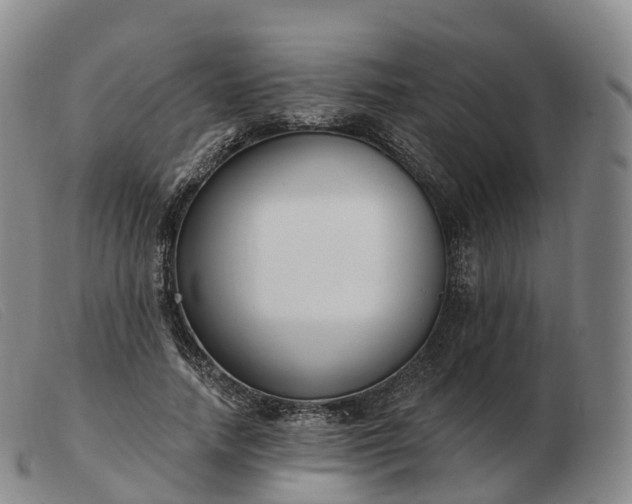 X0000103460738200809191811