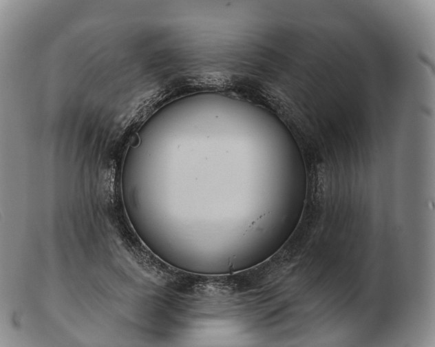 X0000103460739200809191811