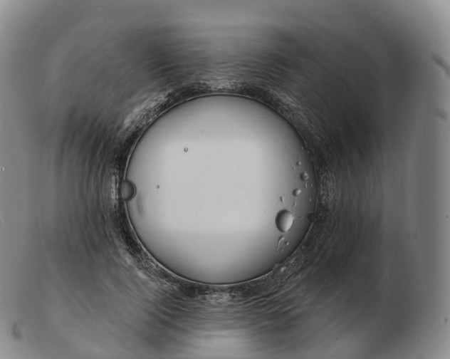 X0000103460740200809191811
