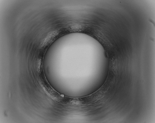 X0000103460742200809191811