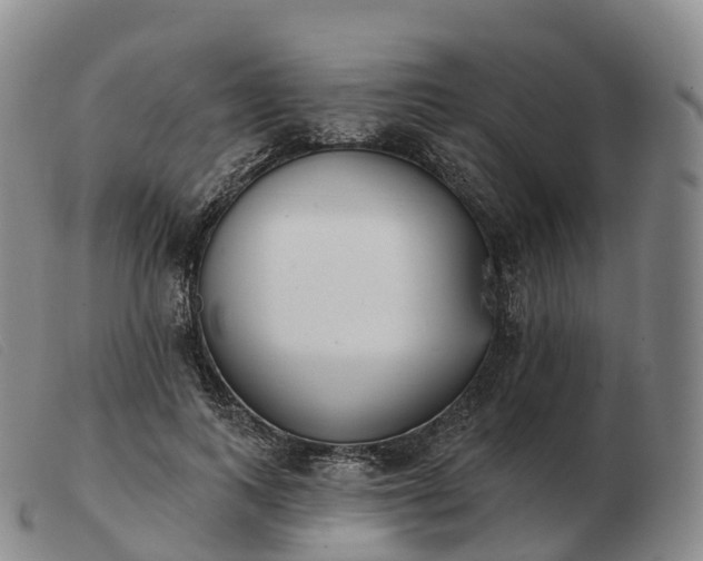 X0000103460743200809191811