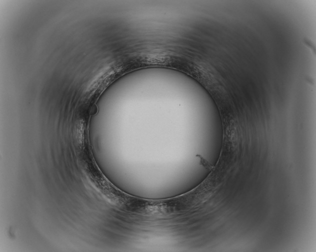 X0000103460744200809191811