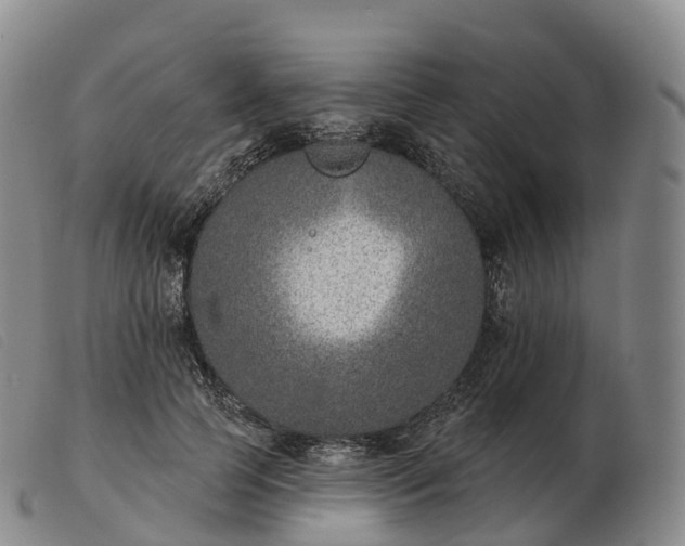 X0000103460745200809191811