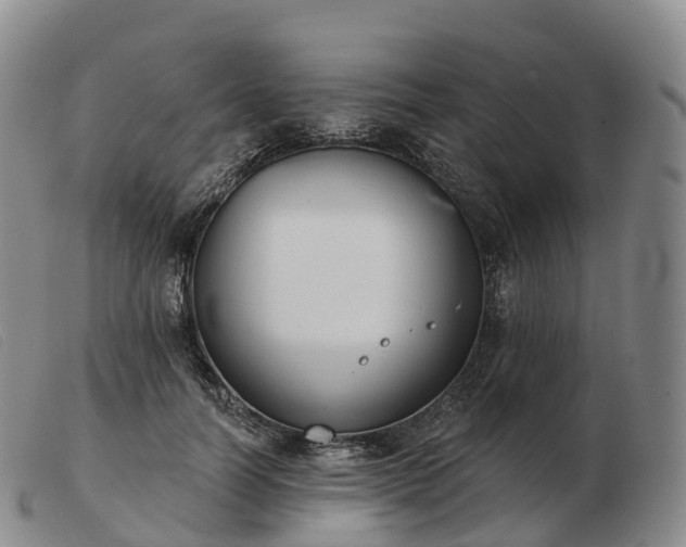 X0000103460746200809191811
