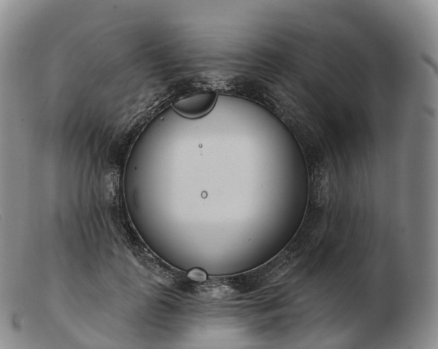 X0000103460747200809191811