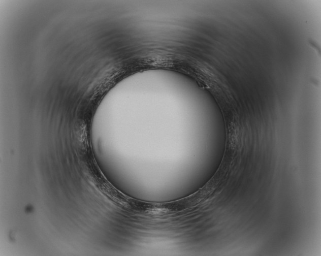 X0000103460748200809191811