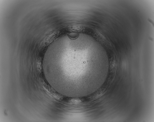 X0000103460749200809191811