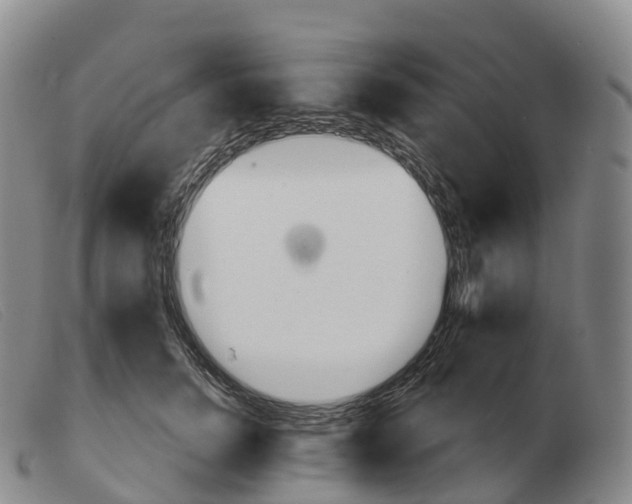 X0000103460750200809191811