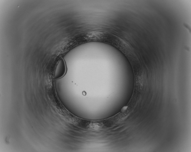 X0000103460751200809191811