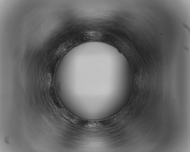 X0000103460752200809191811