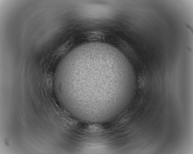 X0000103460753200809191811