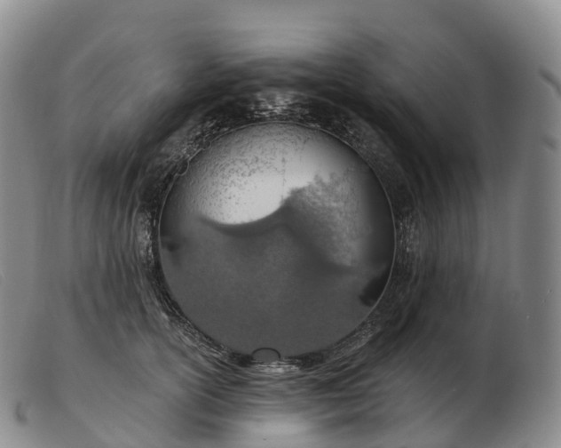 X0000103460754200809191811