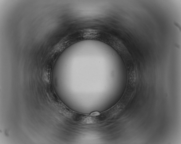 X0000103460755200809191811