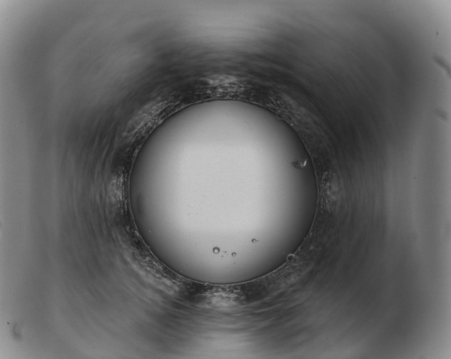 X0000103460756200809191811