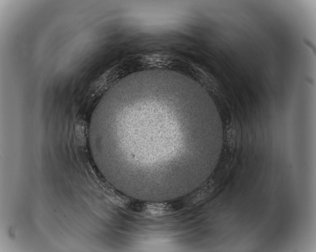 X0000103460757200809191811