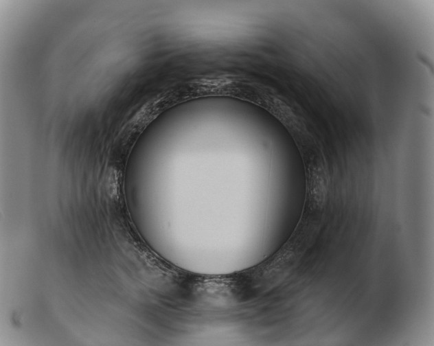 X0000103460758200809191811