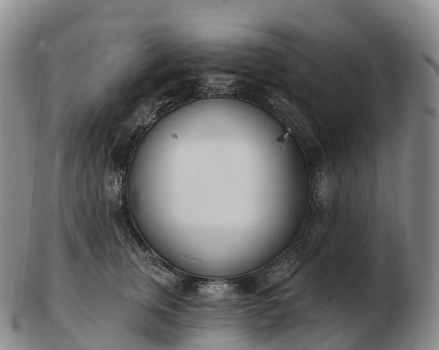X0000103460759200809191811