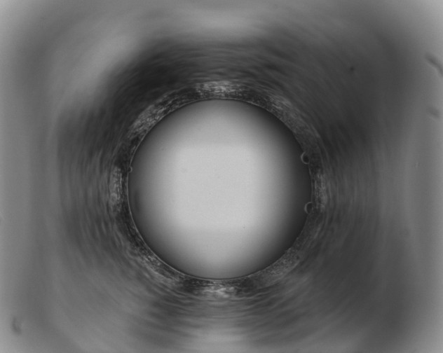 X0000103460760200809191811