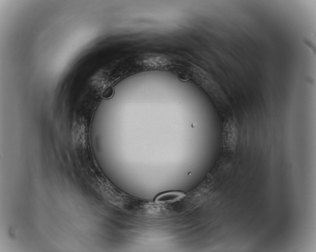 X0000103460762200809191811