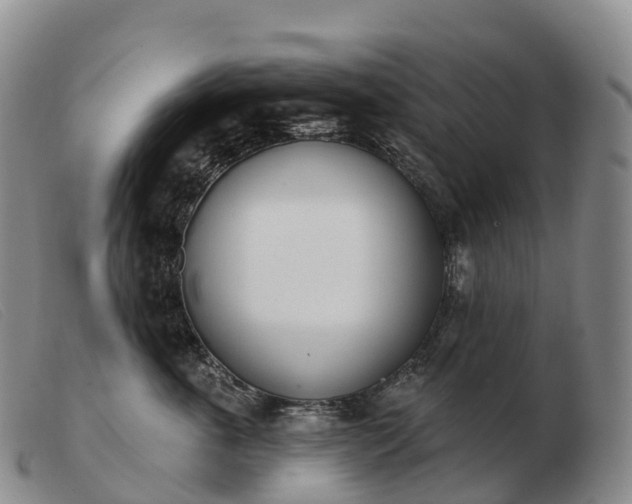 X0000103460763200809191811