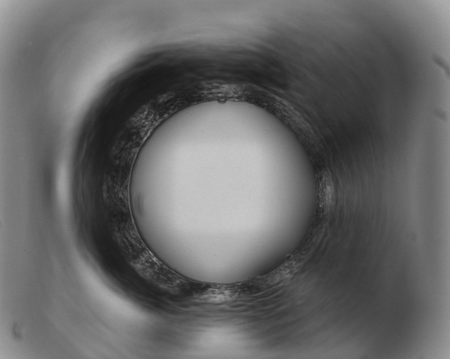X0000103460764200809191811