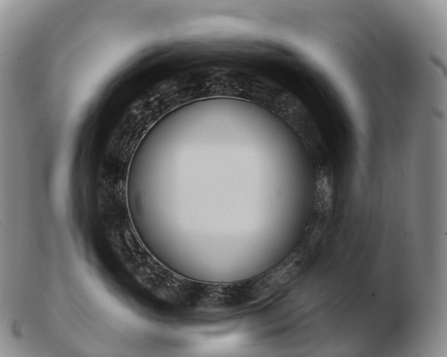 X0000103460765200809191811