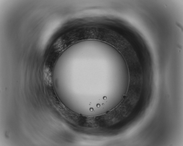 X0000103460766200809191811