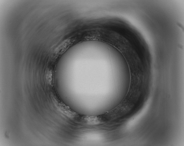 X0000103460767200809191812