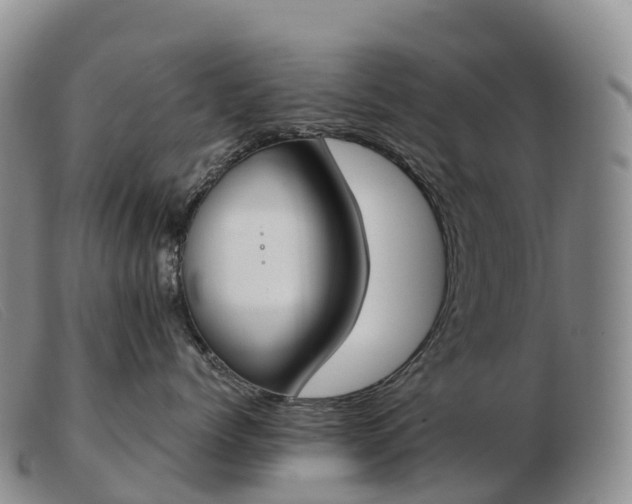 X0000103460768200809191812