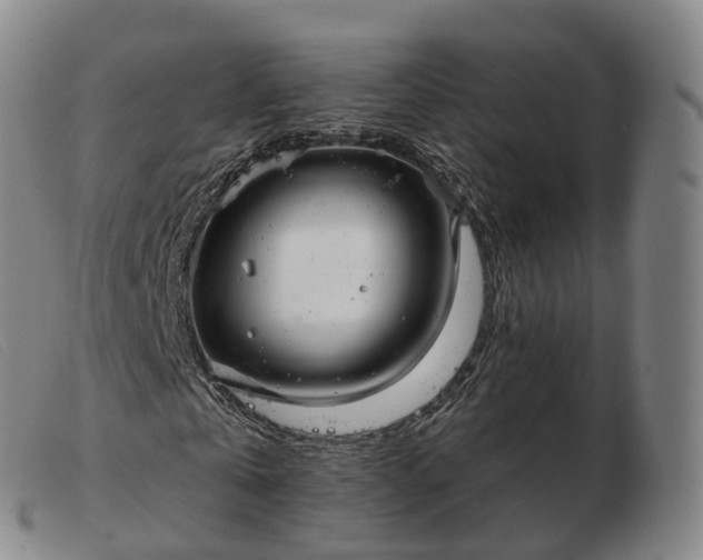 X0000103460769200809191811