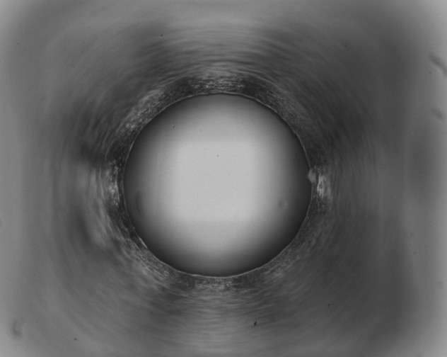 X0000103460771200809191811