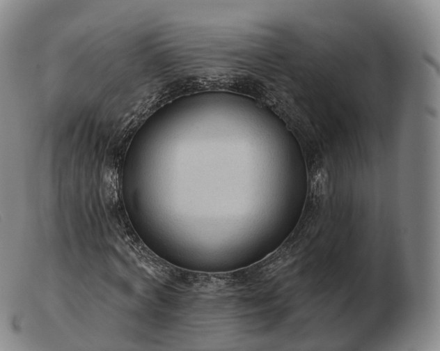 X0000103460772200809191811