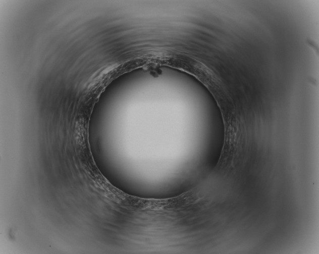 X0000103460773200809191811