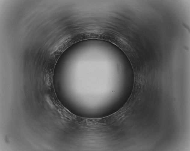 X0000103460774200809191811