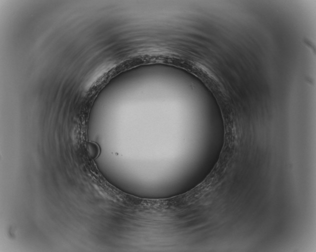 X0000103460775200809191810