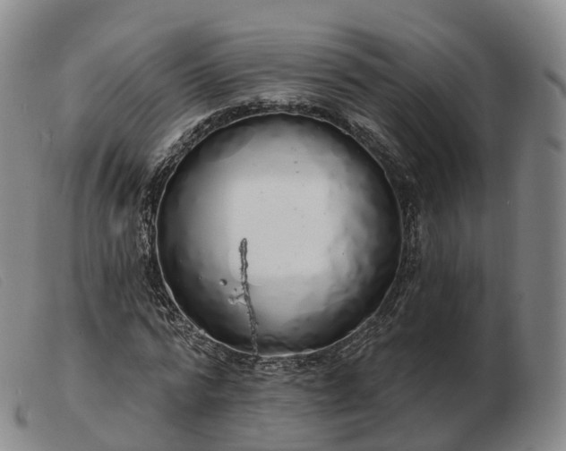 X0000103460776200809191810
