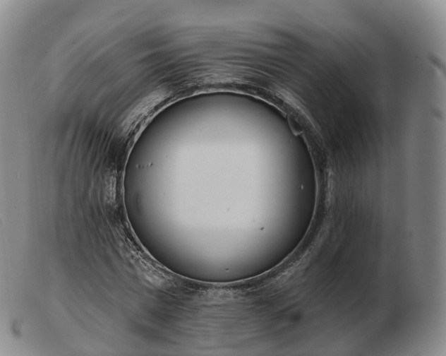 X0000103460777200809191810