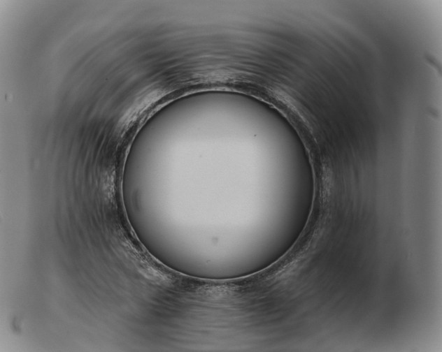 X0000103460778200809191810