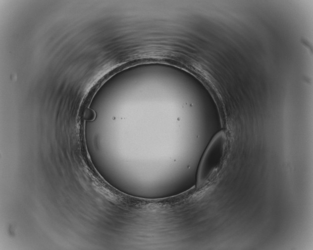 X0000103460779200809191810