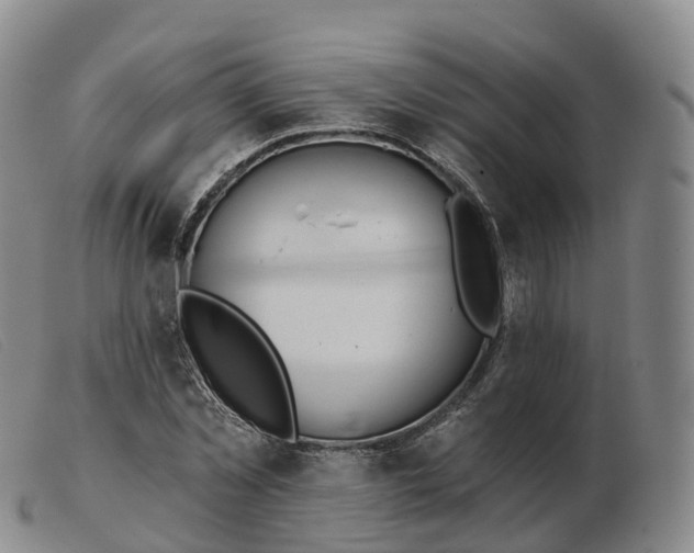 X0000103460781200809191810