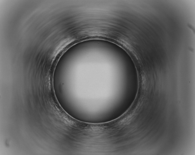 X0000103460782200809191810