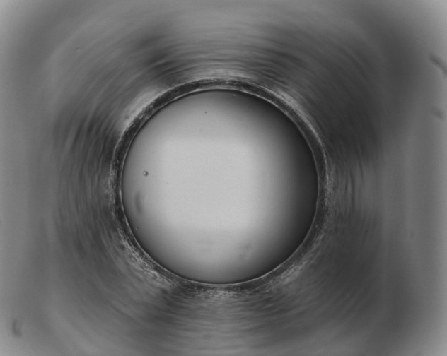 X0000103460783200809191810