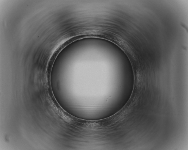 X0000103460784200809191810