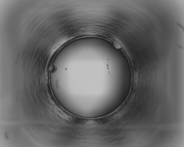 X0000103460787200809191810