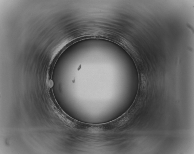 X0000103460788200809191810