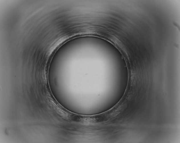 X0000103460789200809191810