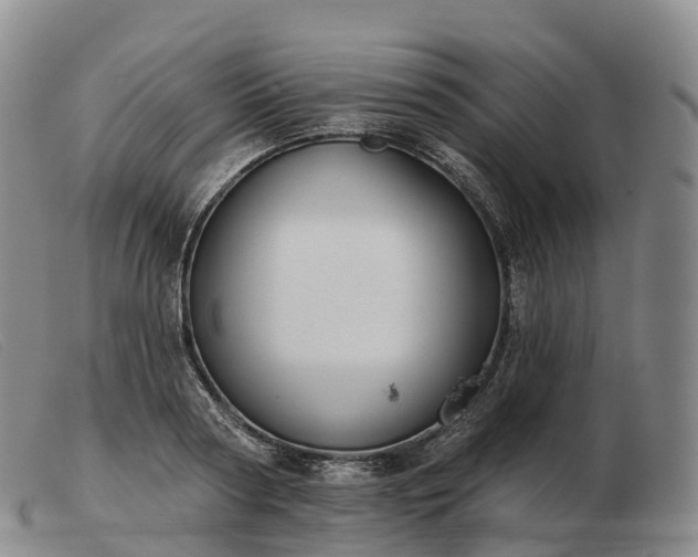 X0000103460794200809191810