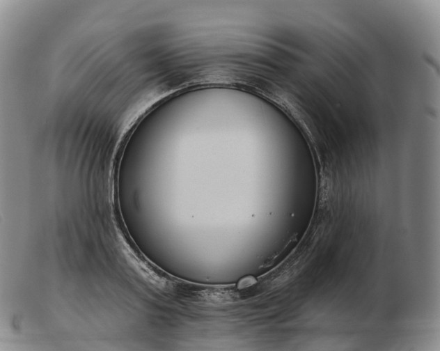 X0000103460795200809191810