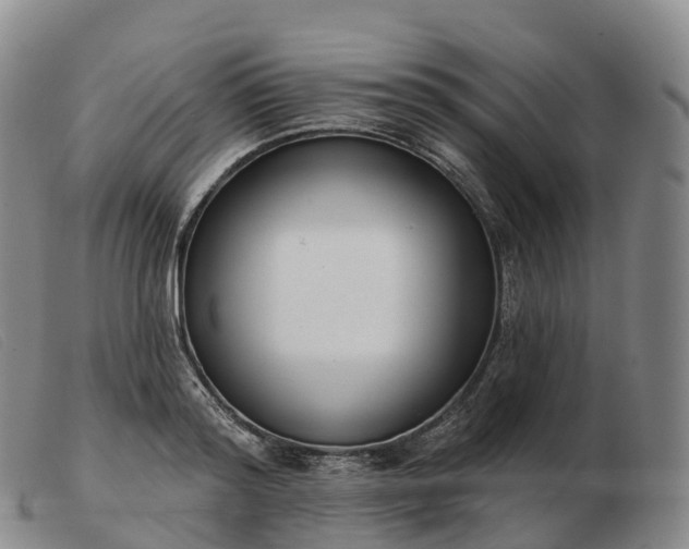 X0000103460796200809191810