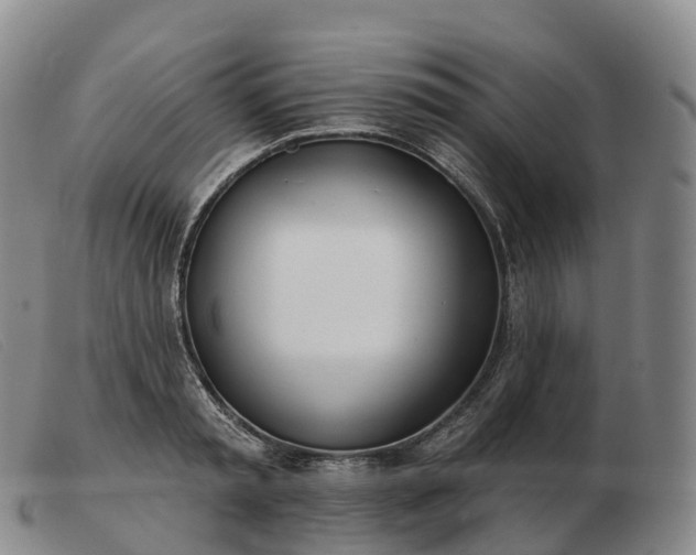X0000103460797200809191810